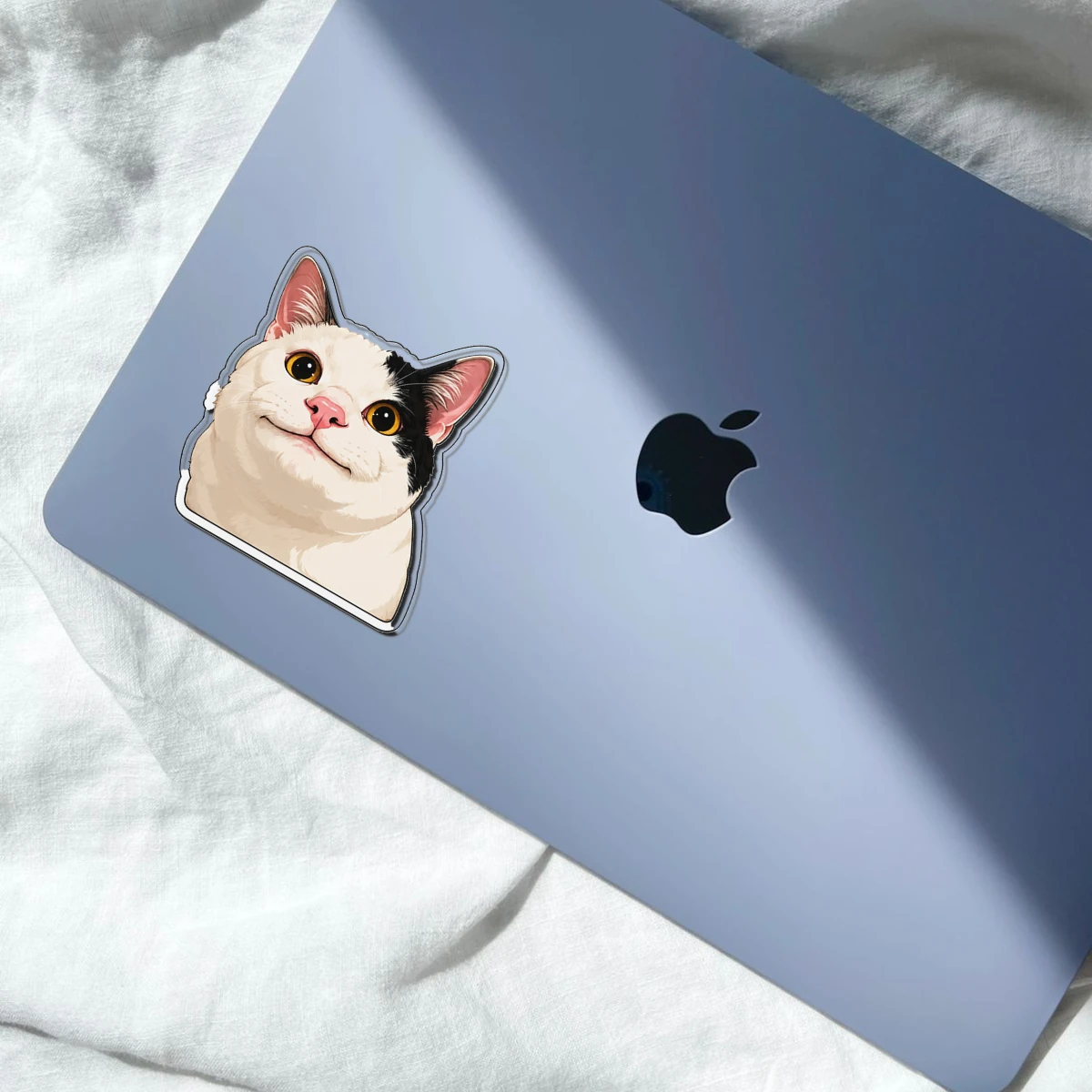 Grumpy Cat Meme