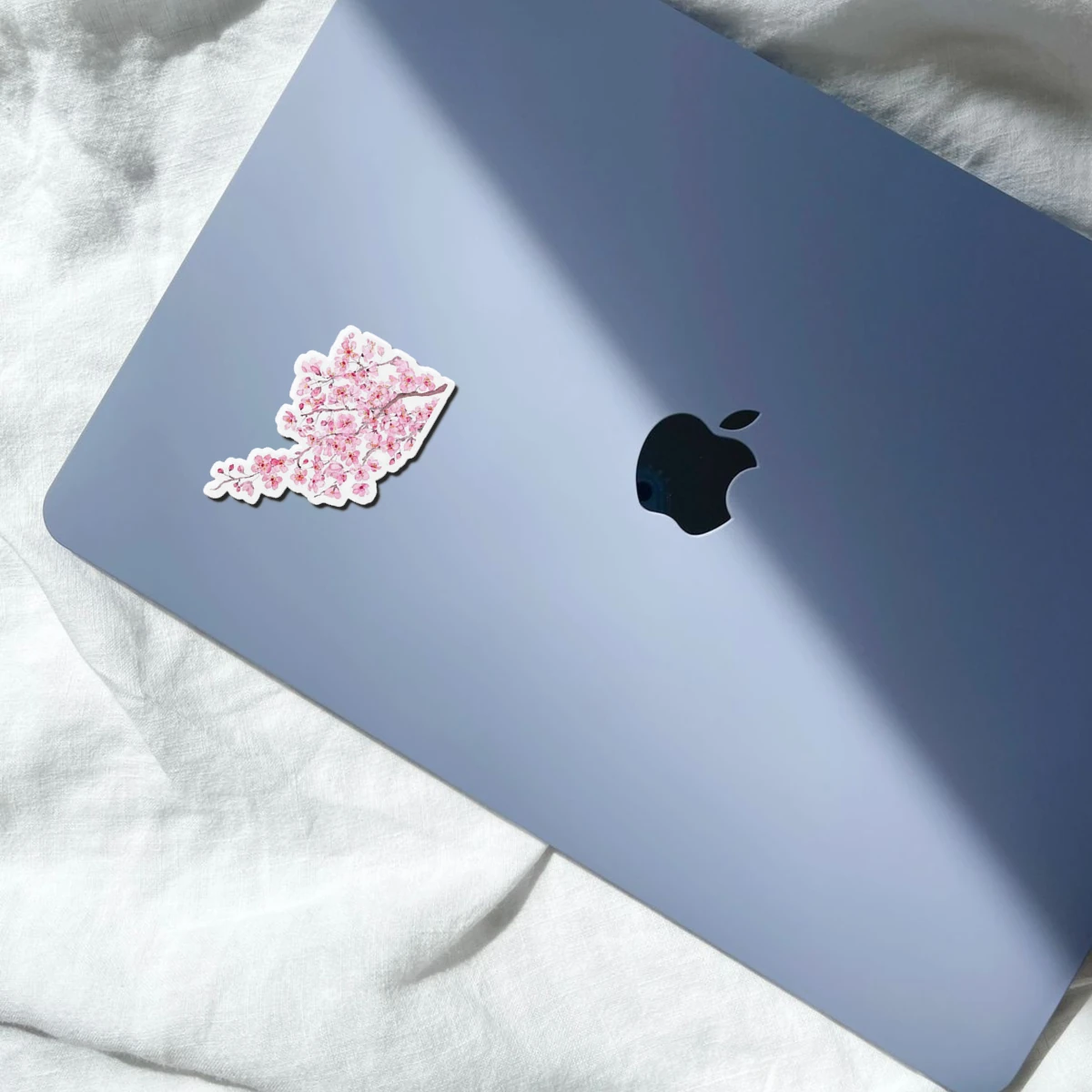 Pink Petal Blossom