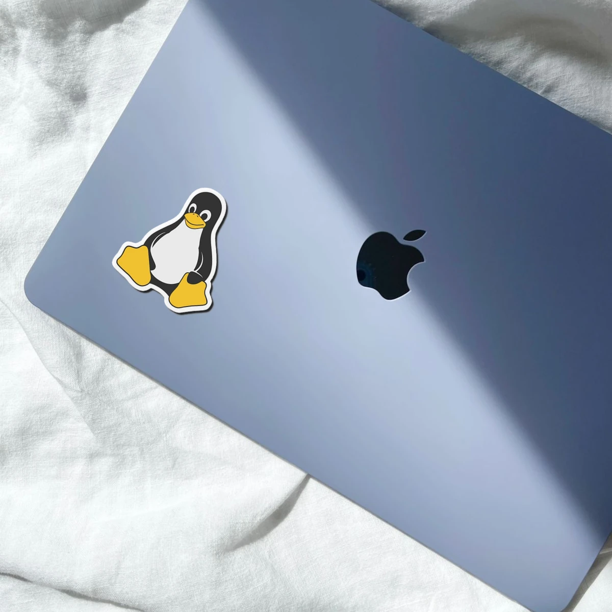 Beak Flightless Bird Penguin