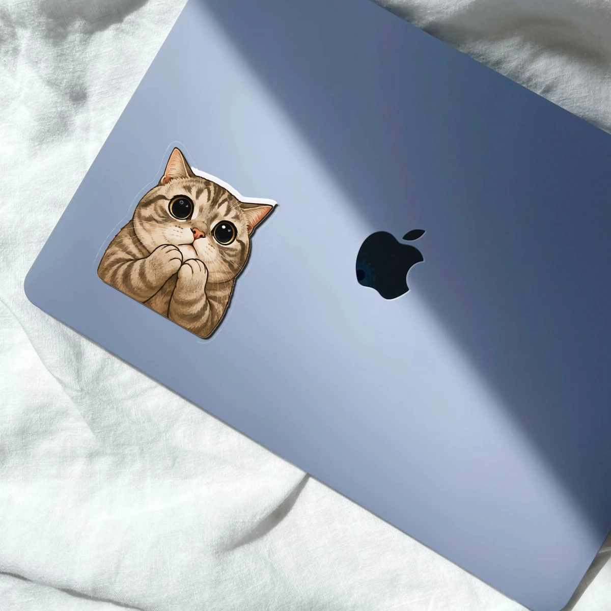 Boba Tea Cat