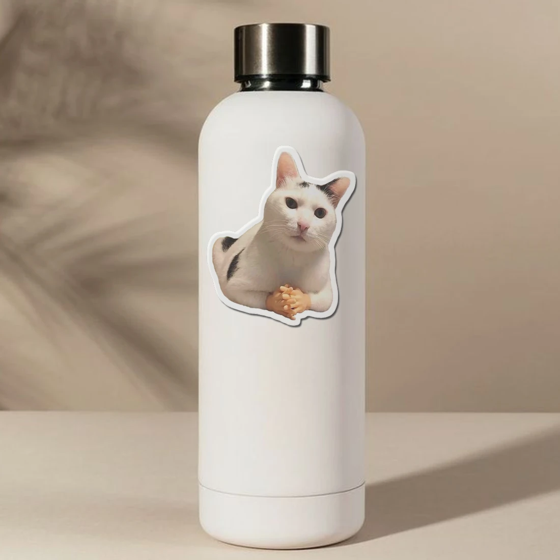 Cat Facial Expression Felinae