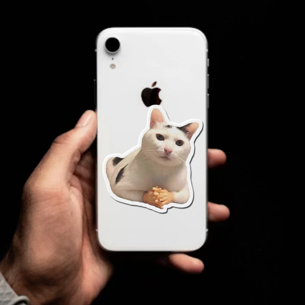 Cat Facial Expression Felinae