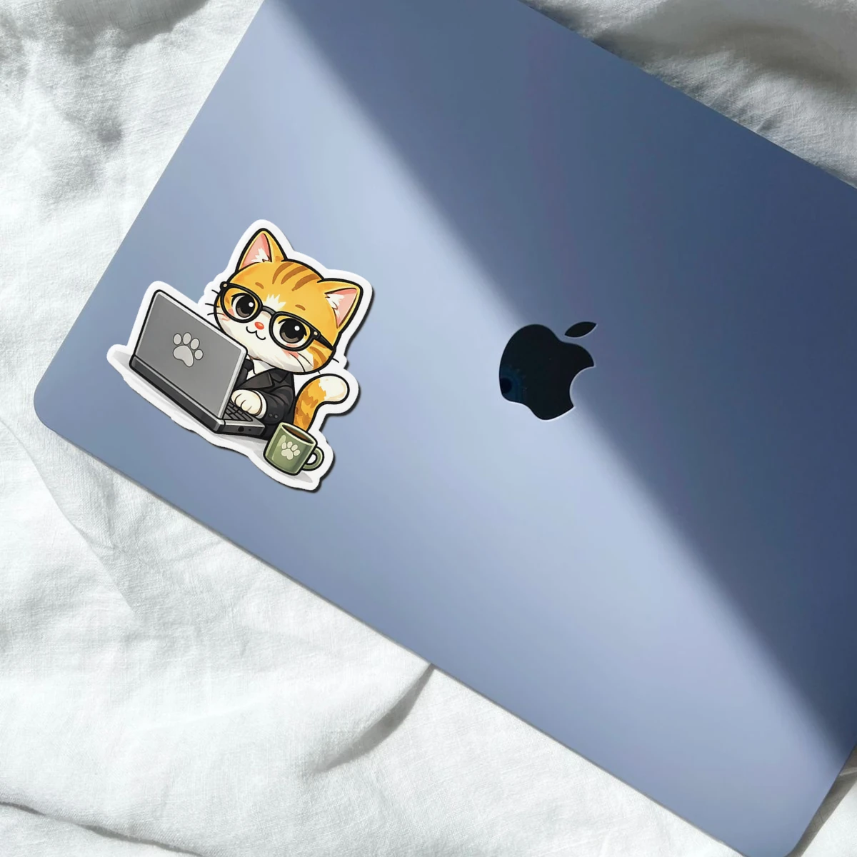 Programmer Cat