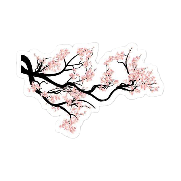 Sakura Cherry Blossom Tree