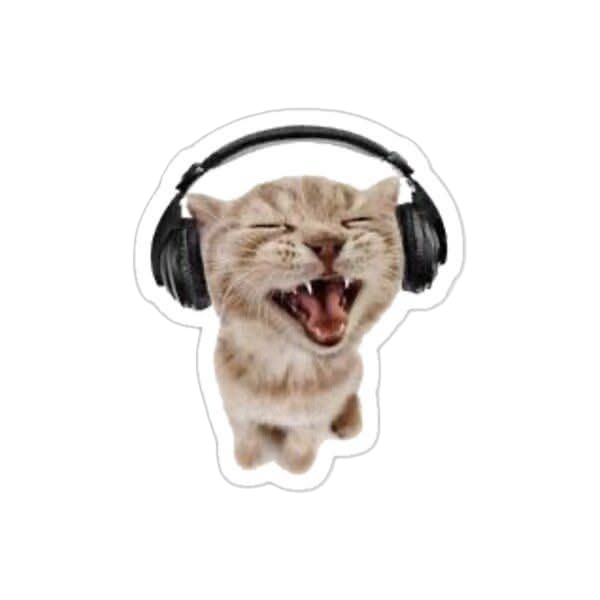 Headphones Cat